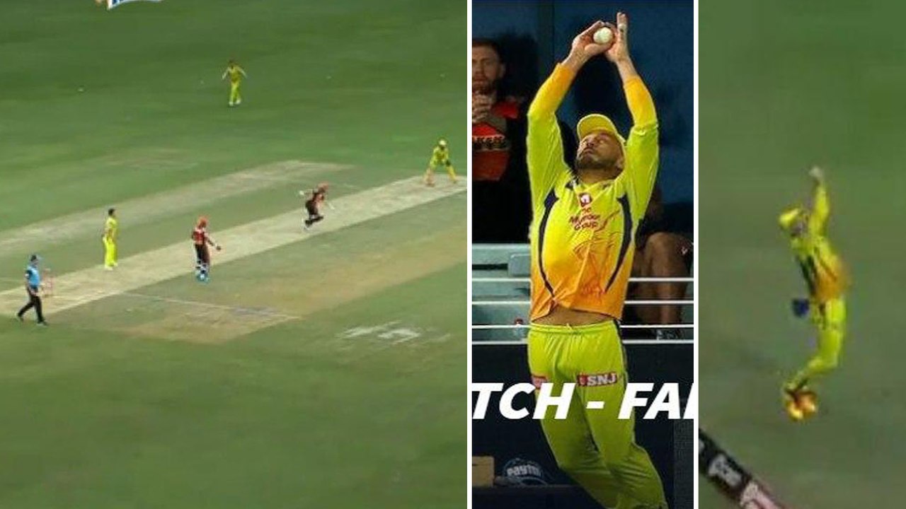 IPL 2020: WATCH Faf du Plessis Jaw-Dropping Boundary Line Catch | CSK VS SRH | Oneindia Telugu