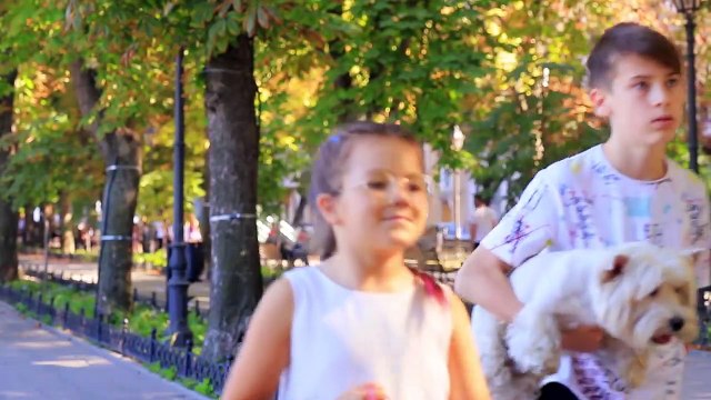 17 Divertidos Trucos y Bromas Para Mascotas