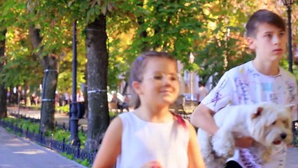 17 Divertidos Trucos y Bromas Para Mascotas