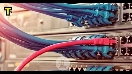 Los 21 dominicanos buscado por la Interpol