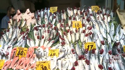 Son dakika: Hamsi ve palamut ucuzladı! İşte fiyatı...