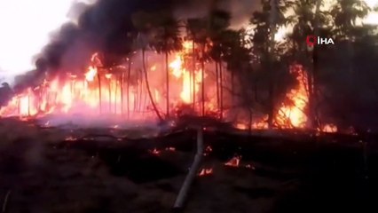 - Paraguay’da orman yangınları nedeniyle “epidemiyolojik” hal ilan edildi