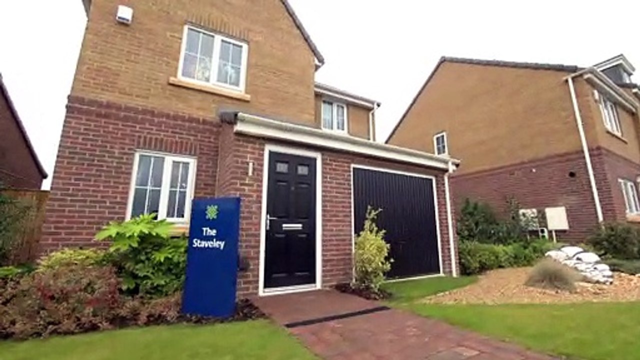 Chester the 10-month-old Cocker Spaniel shows you around the Elm Tree Park development