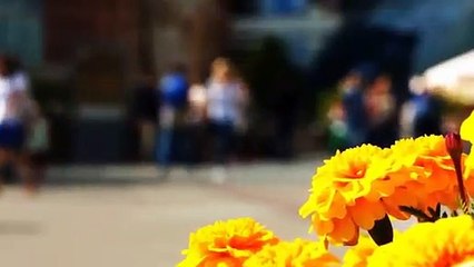 A louer - Appartement - IGNY (91430) - 3 pièces - 63m²