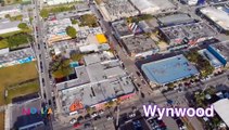 Sabes los secretos que esconden las calles de Wynwood? Descúbrelos - La Movida Miami - VPItv