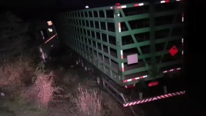 Caminhão sai da pista e para às margens da BR-369