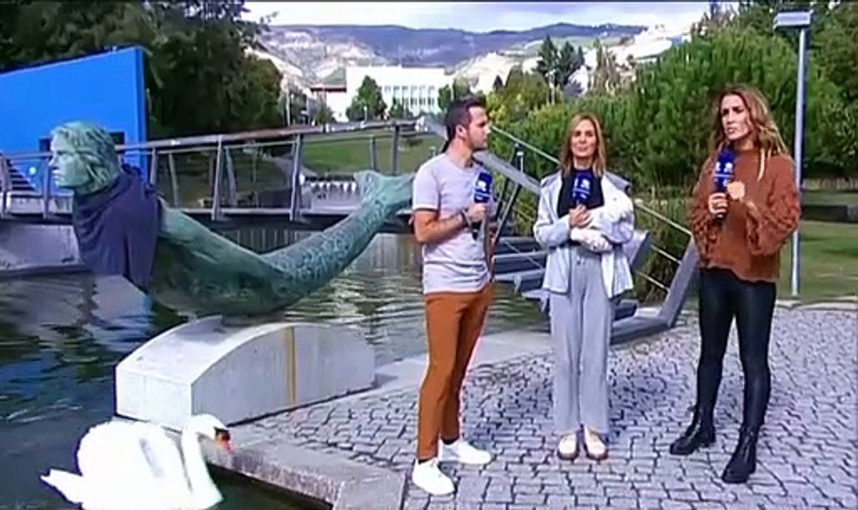 Apresentador da RTP atacado por cisne em direto
