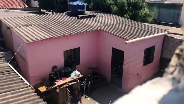 Aviso de imagens fortes. Mulher é presa em flagrante, no Recanto das Emas, nesta sexta-feira (2/10) por maus tratos de animais