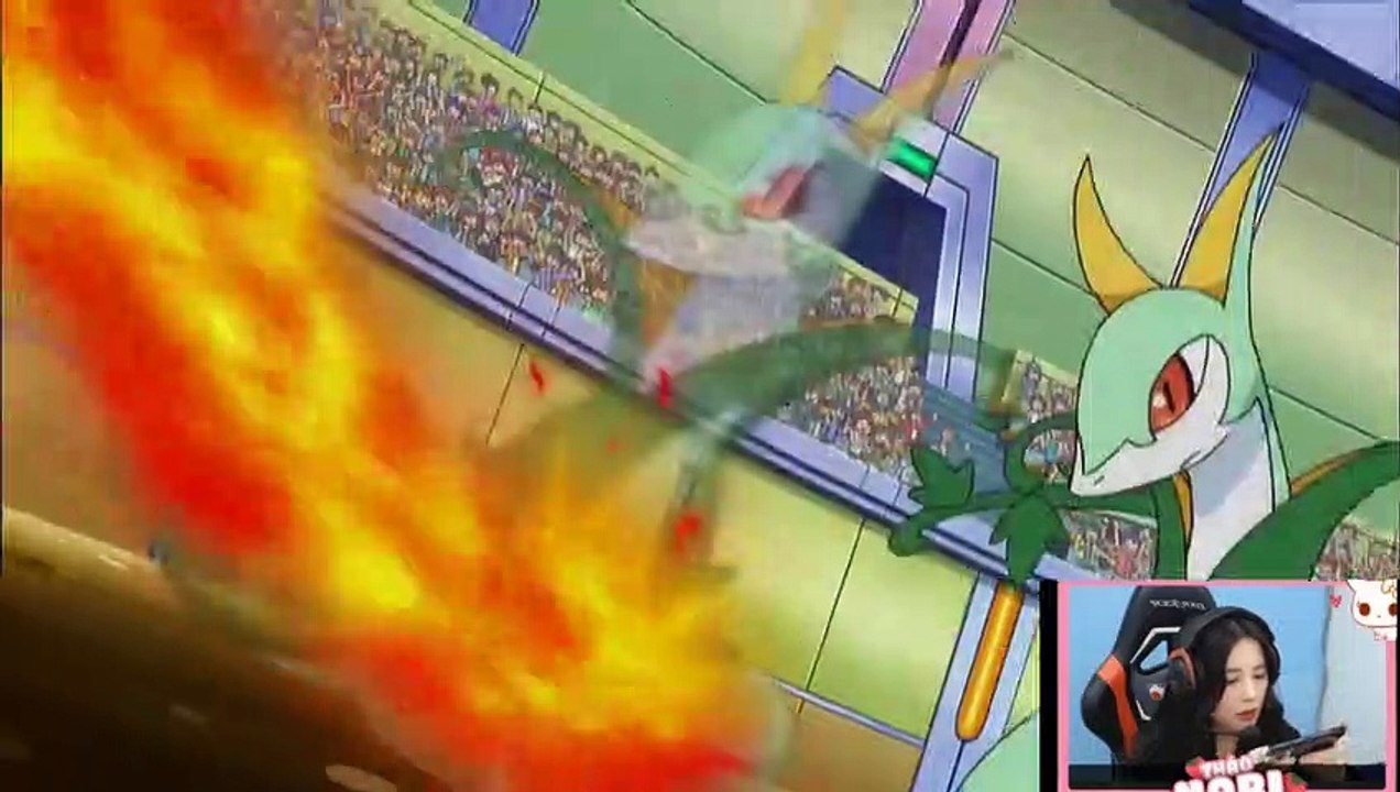 Pokemon Highlight Battle : Pignite vs. Serperior - Pokémon Negro y Blanco- Destinos rivales