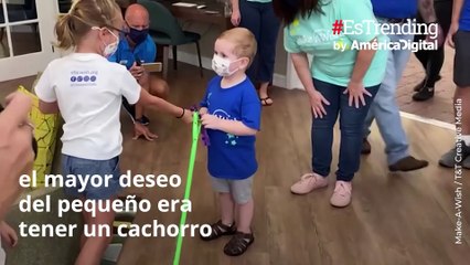 Niño que se curó de cáncer recibe un cachorro por su recuperación