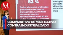 Tortillas industrializadas causan obesidad y daños a la salud: Conacyt
