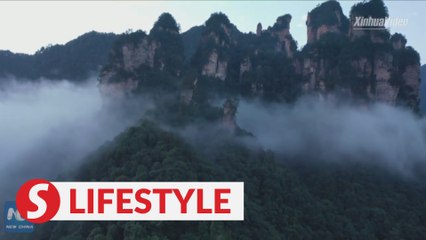 Breathtaking autumn scenery of Zhangjiajie in China