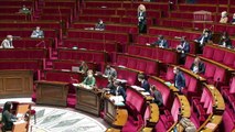 Martine Wonner à l'Assemblée