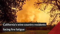 California's wine country residents facing fire fatigue, and other top stories in general news from October 02, 2020.