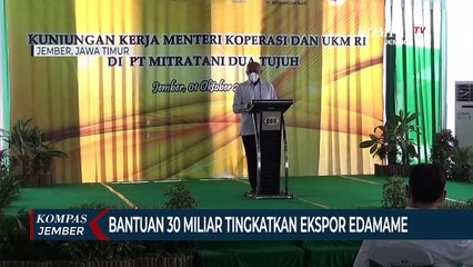 Download Video: Menteri Koperasi dan UKM Bantu 30 Miliar untuk Tingkatkan Ekspor Edamame ke Jepang