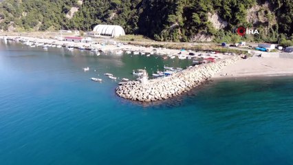 Palamut küstü, fiyatlar yükseldi