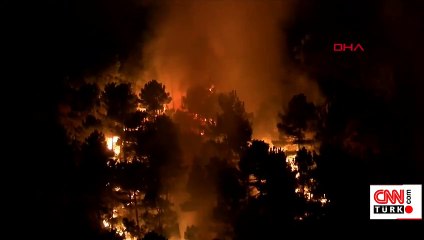 Son Dakika Haberleri: Aydos Ormanı'nda yangın