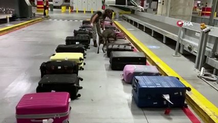 İstanbul Havalimanı'nda uyuşturucu operasyon