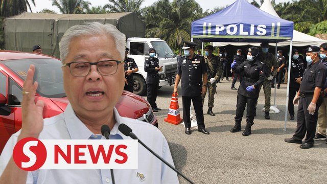 241 arrested for breaching RMCO