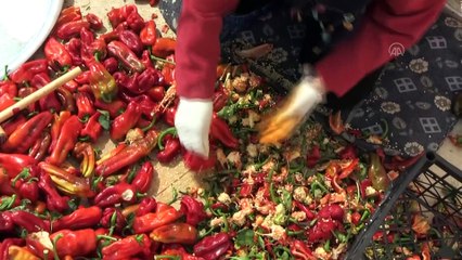 Şanlıurfalı kadınların gücünü 'acı biber' birleştirdi