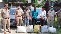पनकी पुलिस व सर्विलांस टीम ने संयुक्त रूप से पकड़े गांजा तस्कर को किया गिरफ्तार