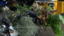 Moped overloaded with Turmeric, bananas and exotic vegetables - it happens only in India