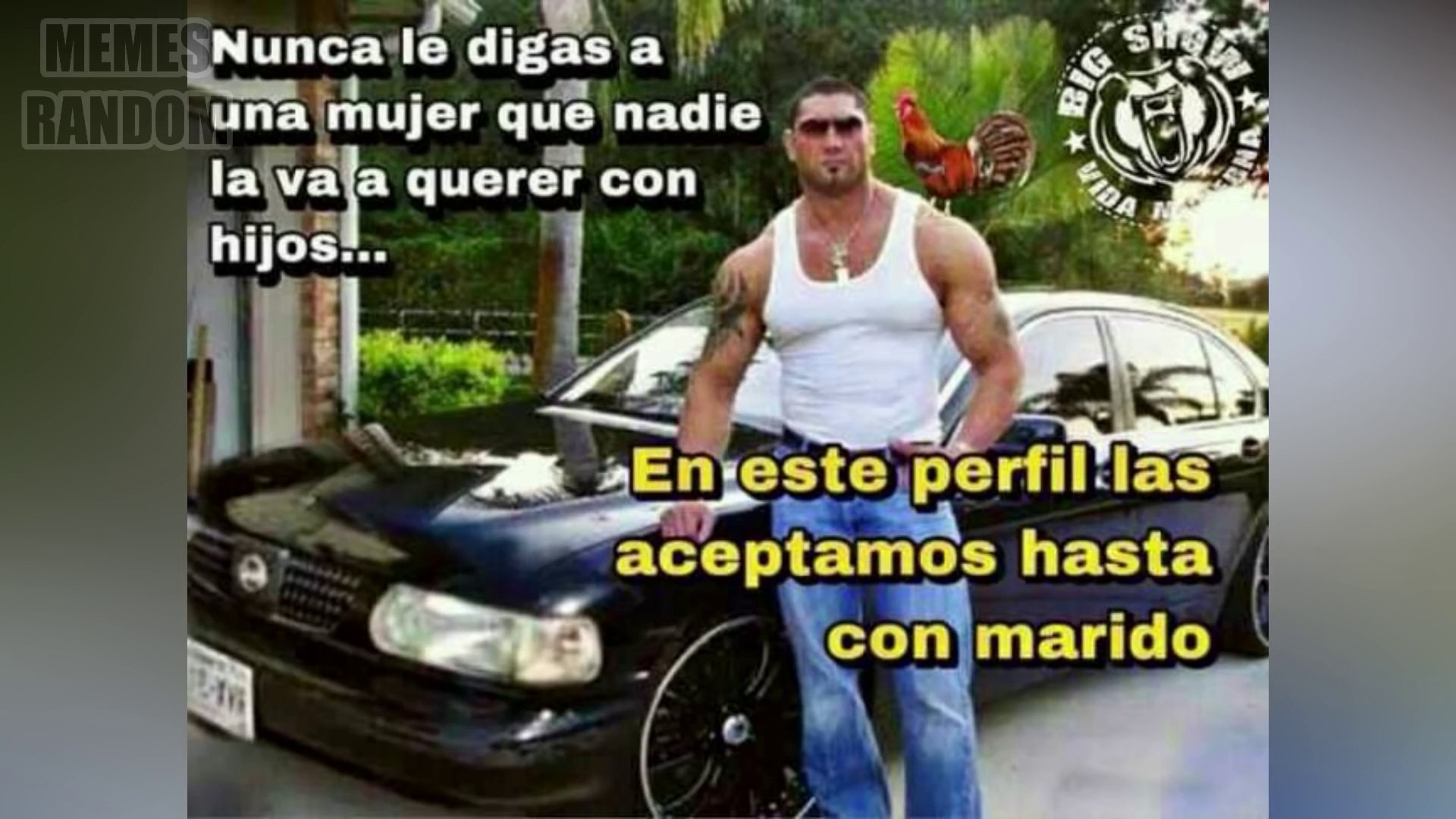 MEMES chistosos