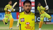 IPL 2020, CSK vs SRH :  MS Dhoni Surpasses Raina To Become Most-Capped Player In IPL || Oneindia