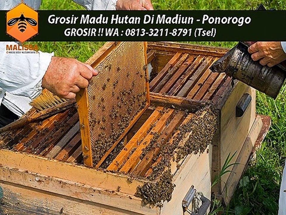 DISKON GILA !! WA : 0813-3211-8791 (Tsel)	Produsen Madu Putih Sumbawa Di Madiun Ponorogo By MALISSA,