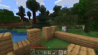 MINECRAFT POCKET EDITION VS MINECRAT LITE _ MCPE ПРОТИВ MINECRAFT LITE