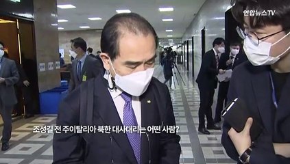 [현장영상] 태영호 "조성길, 입국 노출 대단히 우려…딸 북에 두고 와"