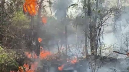 Los incendios arrasan la región del Chaco en Paraguay