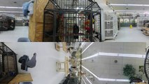 360 Degree Virtual Tour of Bird Store - Todd Marcus Birds Exotic