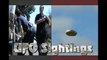 UFO Sightings LAPD Police Witness UFOs Over LA Caught On Tape! June 25 2012