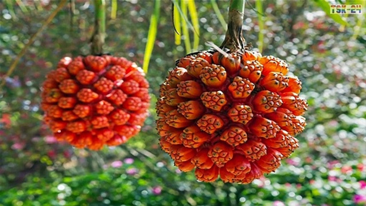 Strange Fruits and Vegetables You've (Probably) Never Heard Of