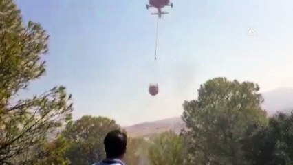 İzmir'de orman yangını çıktı