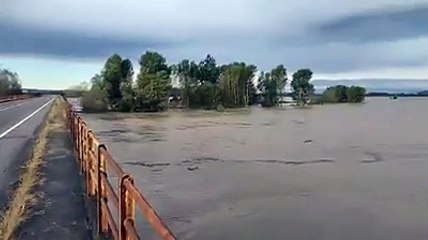 La piena straordinaria del fiume Sesia nel Vercellese