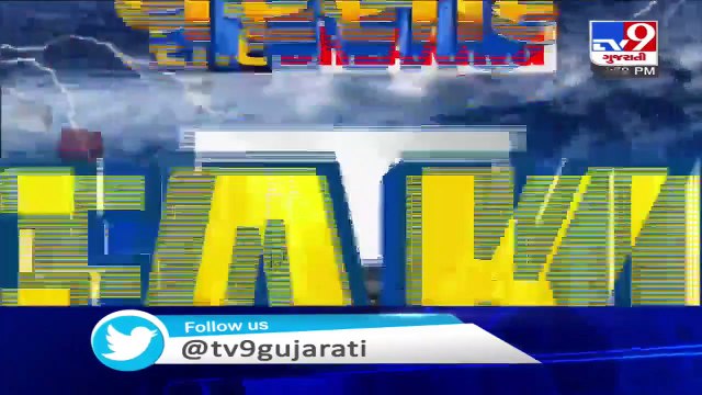 Rain destroyed groundnut crops in Gir-Gadhda, Gir-Somnath _ Tv9GujaratiNews