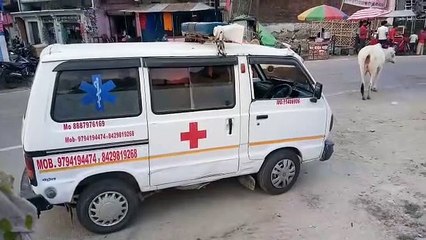 अनाज लेकर लौट रहे युवक की ट्रैक्टर से गिरकर युवक की हुई मौत