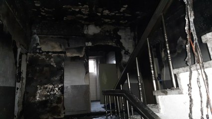 방화 추정 불로 3명 사상...제주에서는 야영객이 뱀에 물려 / YTN