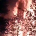 Devastante incendio in Russia: distrutto un intero cimitero