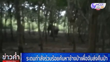 ข่าวค่ำ ช่วงที่ 4 วันเสาร์ที่ 3 ตุลาคม 2563