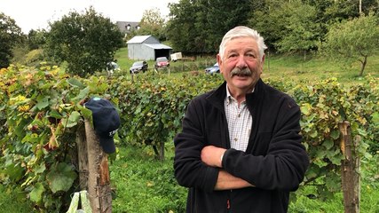 Jour de vendanges dans l’Orne