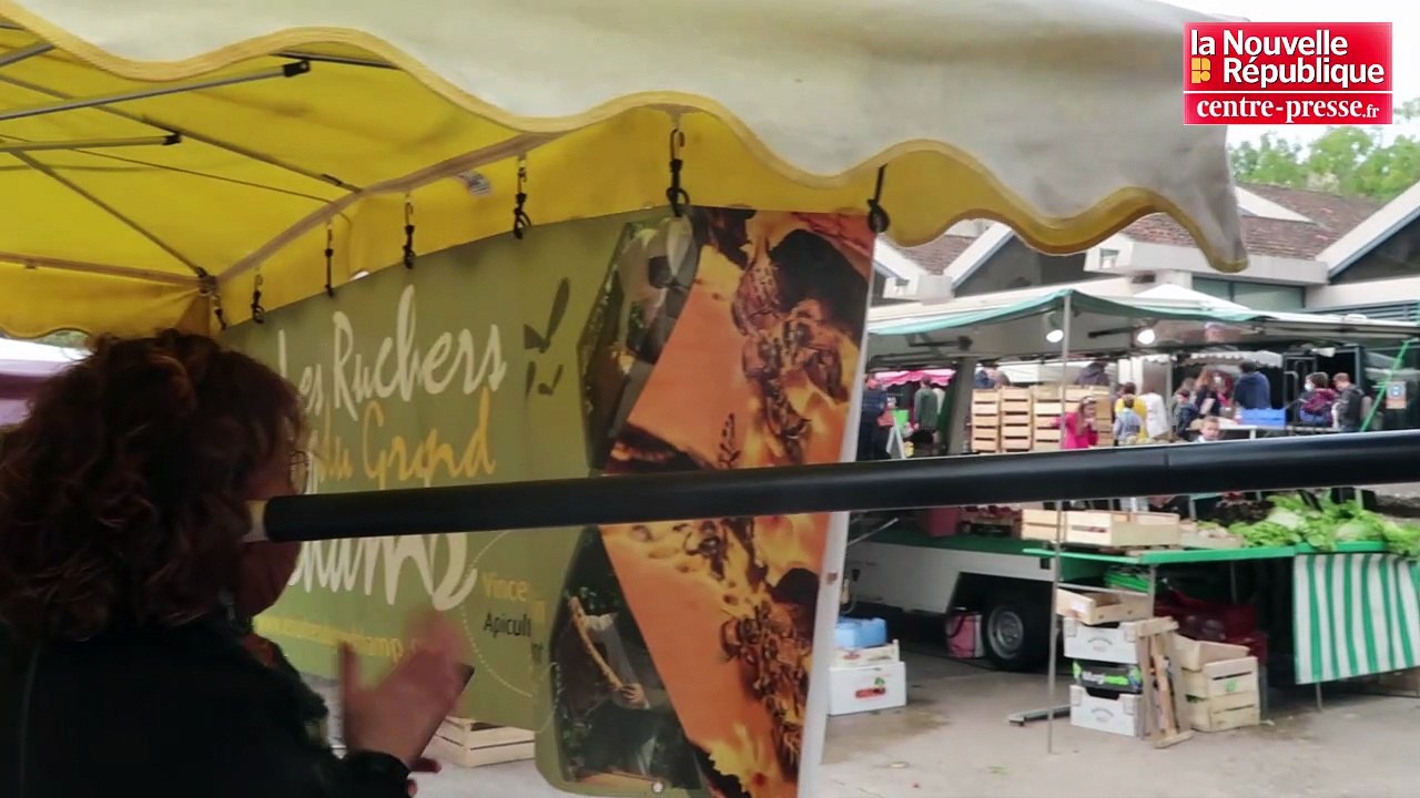 VIDEO. A Poitiers, les Expressifs s'expriment malgré la crise sanitaire