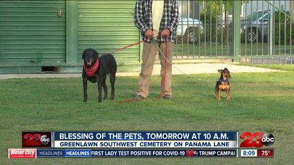 Blessing of the Pets Sunday at Greenlawn Southwest Cemetery