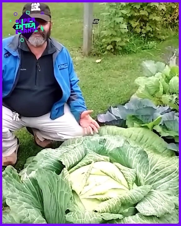 !Cosas Que Probablemente No Sabías #1 / Things You Probably Didn't Know # 1