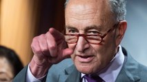 Schumer Calls For Halt Of Supreme Court Justice Hearings After GOP COVID-19 Outbreak