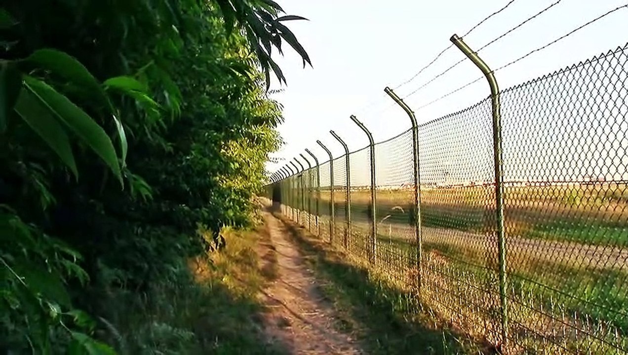 Planespotting KölnBonn Landen 14L – 3