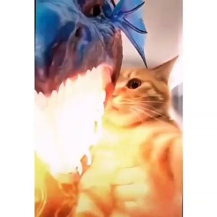 Turning into a dragon