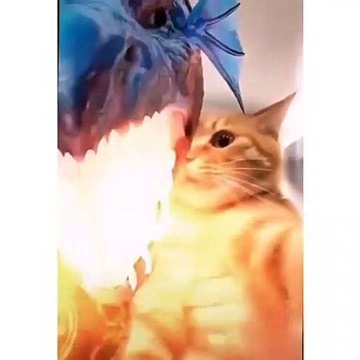 Turning into a dragon